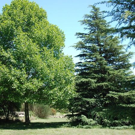Laragh-On-Hogsback Villa Екстериор снимка