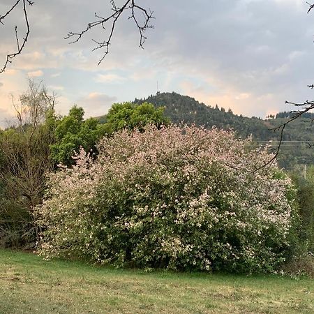 Laragh-On-Hogsback Villa Екстериор снимка
