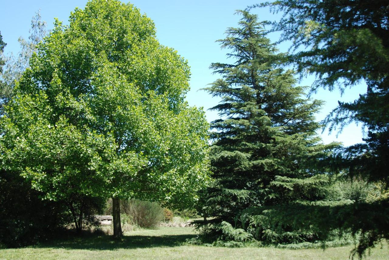 Laragh-On-Hogsback Villa Екстериор снимка