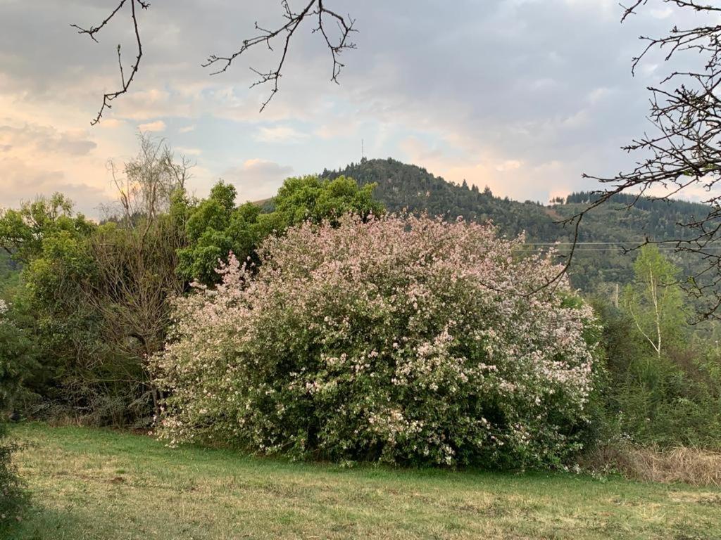 Laragh-On-Hogsback Villa Екстериор снимка