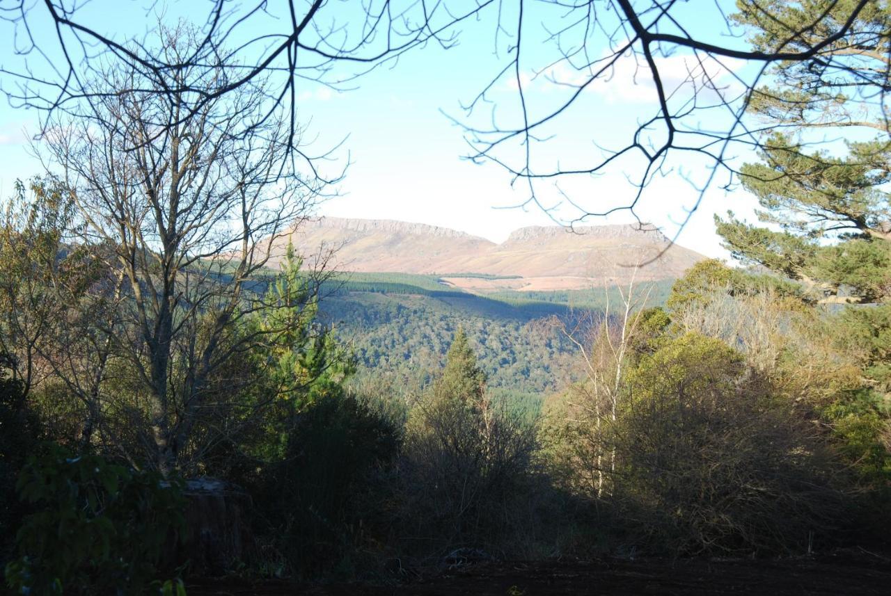 Laragh-On-Hogsback Villa Екстериор снимка